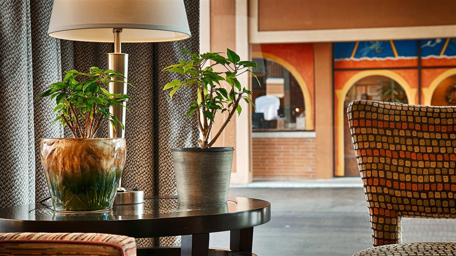 Best Western Thunderbird Motel Cookeville Bagian luar foto
